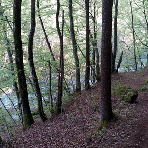"Pintareni" trail
