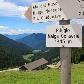 Hike to Rifugio Malga Conseria