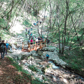 Along the equipped trail "del Berghem" to San Martino and Malga Grassi