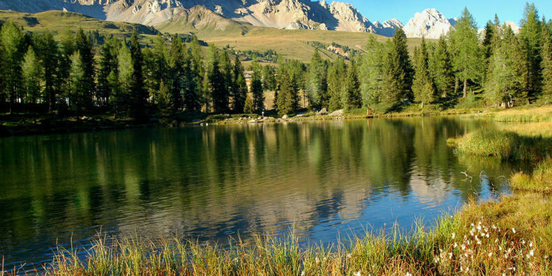 Passo San Pellegrino #10