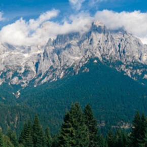 Pale di San Martino, Panorama 