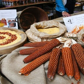 Polenta Festival