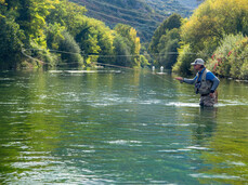 Campionato pesca a mosca Olandese 