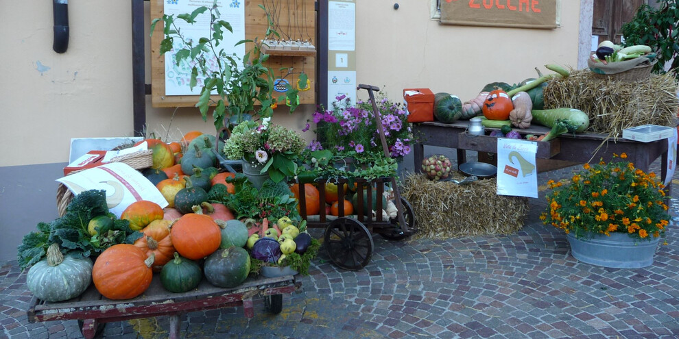 Kürbis- und Wintergemüsefest, Lasino