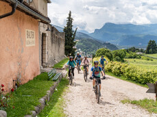 Trentino Experience Festival