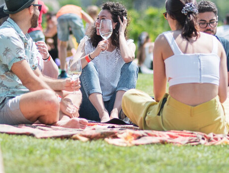 Persone sul prato che bevono un calice di vino 
