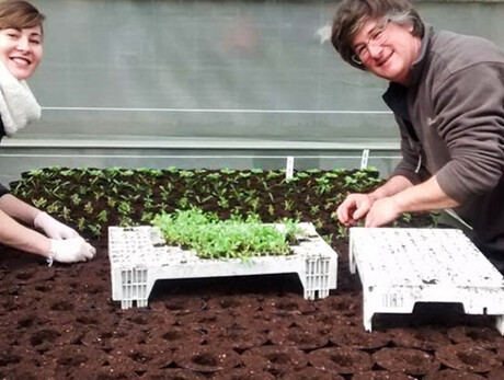 Laboratori 2026 Floricoltura Piazzera