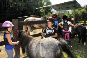 Horseback riding on Piné Plateau lakes