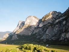 Sunrise on the Noce: fishing and breakfast on the river