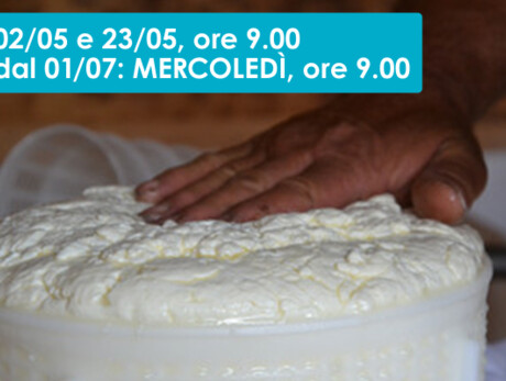 ALLA RICERCA DEL FORMAGGIO PREZIOSO