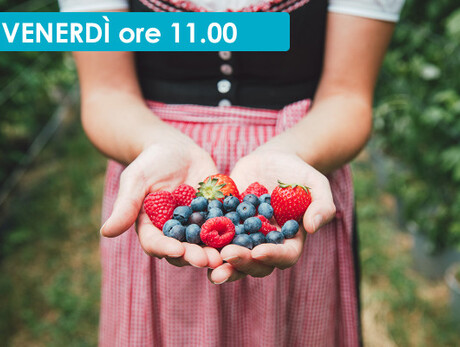 ALLA SCOPERTA DEL MASO DEI LAMPONI