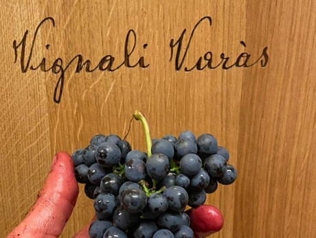 Die Entdeckung des handwerklichen Bergweins