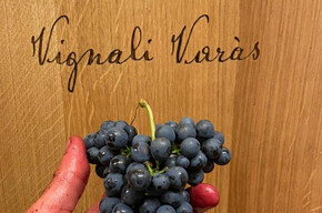 Die Entdeckung des handwerklichen Bergweins