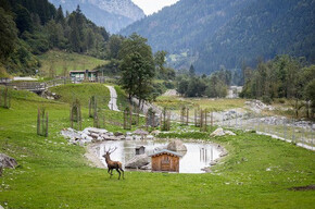 Area Faunistica Caoria (wildlife area)