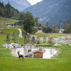 Area Faunistica Caoria (wildlife area)