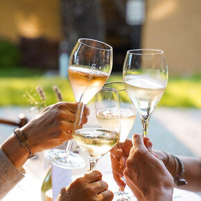 Cantina Endrizzi - Degustazione TrentoDoc