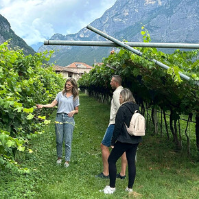 Cantina Rotaliana - Il tempo del vino Red, White & bubbles - Visita al vigneto