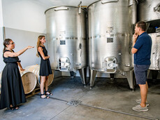 Comai Wine Experience - Wenberg, Weinkeller und Verkostung