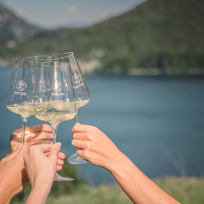 What's in the wine cellar?