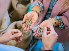 From coffee bean to cup - Caffè Adler Roasting