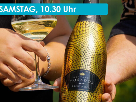 WEINVERKOSTUNG AUF DER TENUTA GOTTARDI