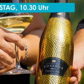 WINE TASTING AT TENUTA GOTTARDI