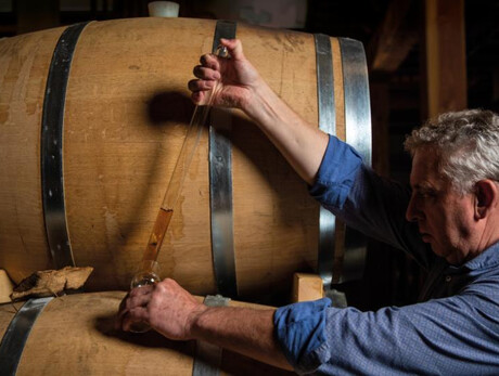 Die fünf Sinne Verkostung