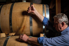 Die fünf Sinne Verkostung