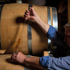 Die fünf Sinne Verkostung