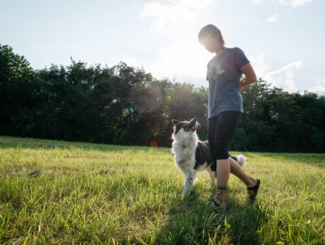 Dog trekking in natura