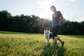Dog trekking in natura