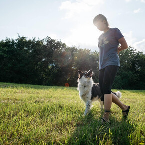 Dog trekking in natura