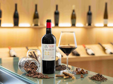 Cavit Wine Shop - The Senses of Wine