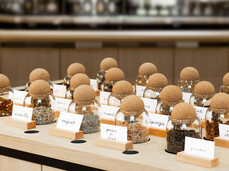 Cavit Wine Shop - The Senses of Wine