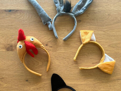 Gadget Notte di Fiaba