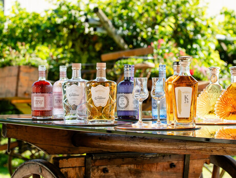 Grappino Experience - Bertagnolli