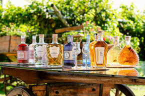 Grappino Experience - Bertagnolli