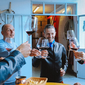 The 5 Elements of Wine - Zanini Luigi Winery