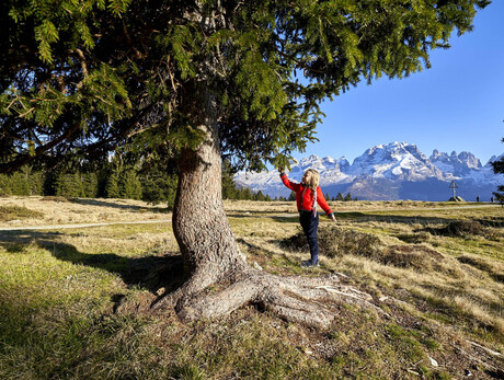 JUNIOR PARK – Geheimnisvolle Spuren: Welches Tier ist das?
