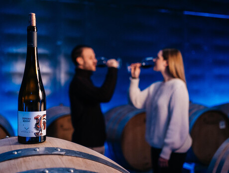 The art of making wine