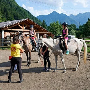 Oltre la sella: un mattino d'inverno tra cavalli e sapori artigianali