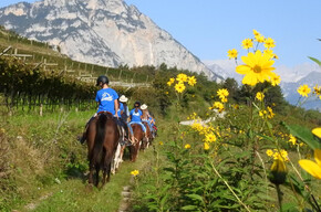 Horseback ride in the footsteps of the Romans – beginner level