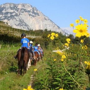 Horseback ride in the footsteps of the Romans – beginner level
