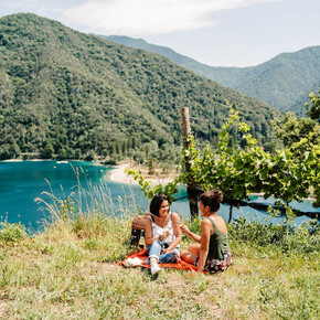 Picnic in the vineyards