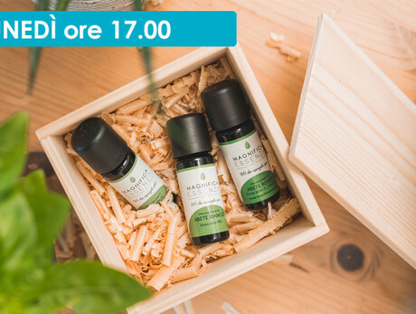 PROFUMI DI FIEMME: DAL BOSCO A CASA TUA 