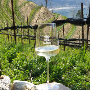 Flavors on the table