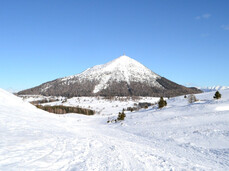 Discover the fauna and flora of Monte Bondone