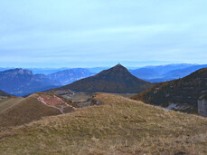 Discover the fauna and flora of Monte Bondone