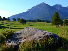 Discover the fauna and flora of Monte Bondone