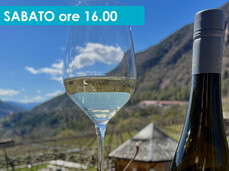 SOTTO LA VIGNA: 3 VINI PER 3 FRATELLI